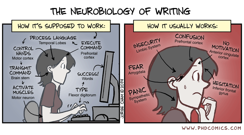 neurobiology writing.gif